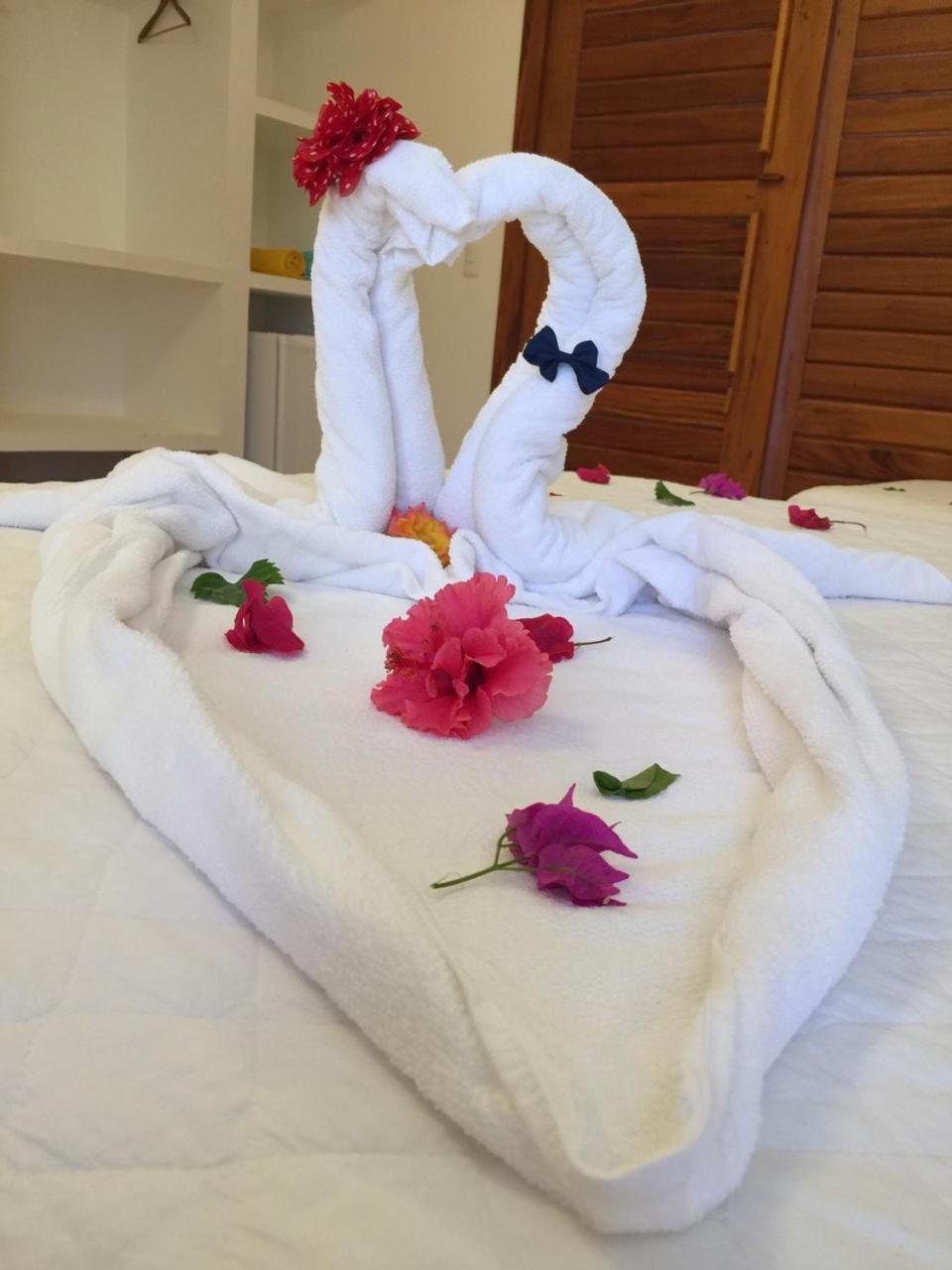 Guest house Wind Flecheiras